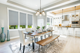 Roller Shades - Blackout